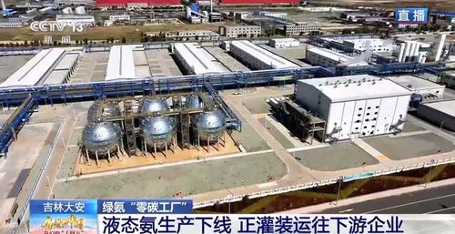 零碳工廠 新能源“就地生金”，全鏈條綠色消納體系引領(lǐng)未來